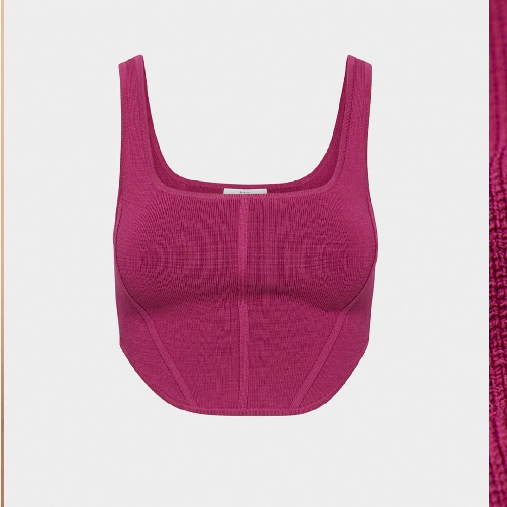 Aritzia Bustier Top